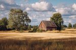 Optimisation fiscale pour les agriculteurs