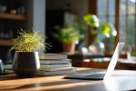 Optimisation fiscale sur les revenus de la location nue